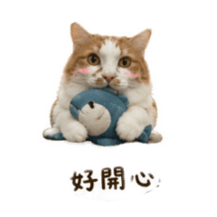 李阿喵