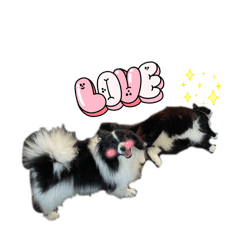 Pepette waf waf waf