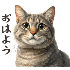 Tabby Cat Stickers0428