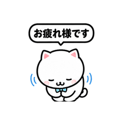 Polite White Cat - Business Keigo