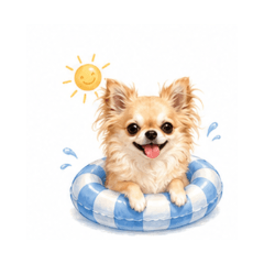 Summer Chihuahua- Daily Chat Stickers