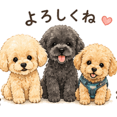 stin_20260428171936