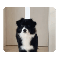 natu_20260428192100