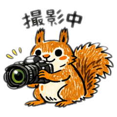 norineko71_20260428194634