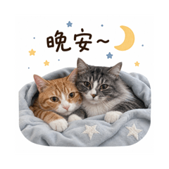 麻糬那隻貓