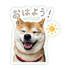 kohakurin_20260428150330