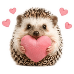 potepote-kobo_20260428150647