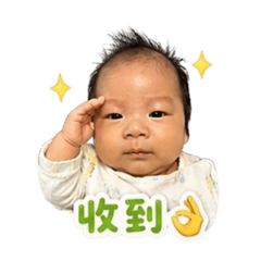 小芫寶來了