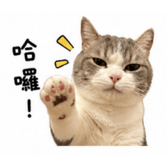 嗚咪的日常用語