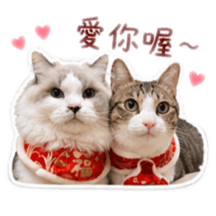 調皮搗蛋鬼之襪襪仔仔