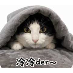 賓士生活2