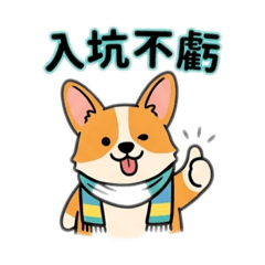 我的追星小狗