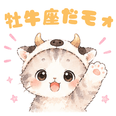 Popon: The Astrology Cat(Taurus)