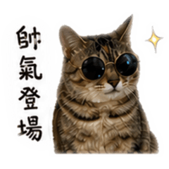 豆花的豆皮小可愛