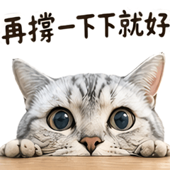 厭世上班族美短貓