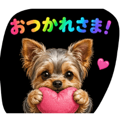 k_20260428161850