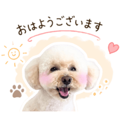 Rommy_dogs_20260428173939