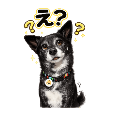 chiimame_20260428173555