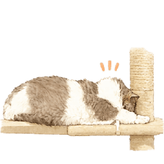 aya_a16_20260428173459