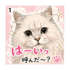 Fluffy White Cat Casual Stickers