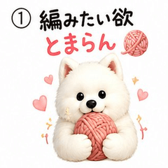 Fluffy Samoyed Loves Knitting