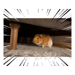 maitans kingdom_20260428193035