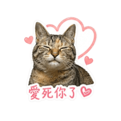 豹豹ㄟ專屬貼圖