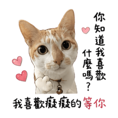 咪咪的土味情話