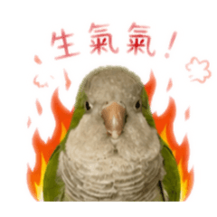 錢錢出沒注意