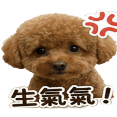 寶寶貼圖測試