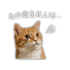 嚕咪不想上班