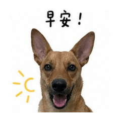 鐘小純的日常（二）