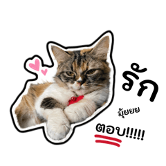 Nutthanicha nu sea_20260427183323