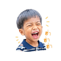 aod_leo_20260427183420