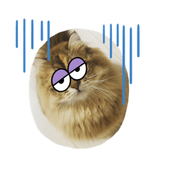 RUCHIMA_20260428174736