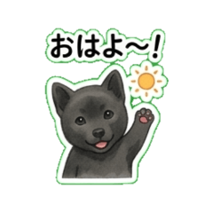 Fluffy Black Dog Rose Daily Stickers