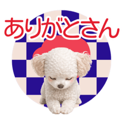 toy_pooooodle_20260428203015