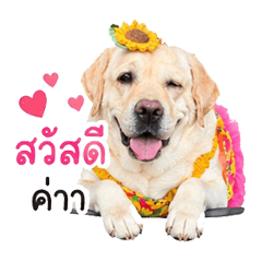 Chabaconsuay