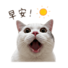 魚豆腐