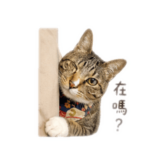老大來惹૮ •͈ᴗ•͈ ა