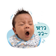 Kanpitcha Wattanasak_20260428100024