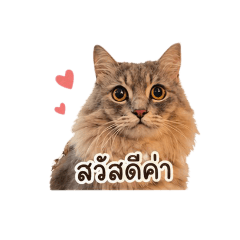 Pubpab_20260428134443