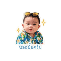 Yachara Family V.1