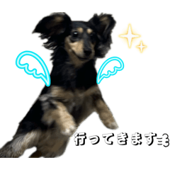 Chanan_20260428175111