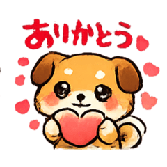 dog cute wonder
