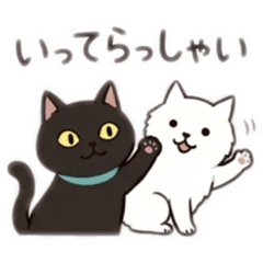 Expressionless Black Cat: Surreal Life