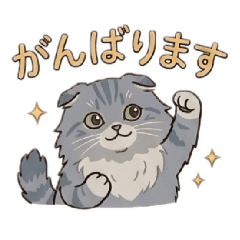 momo_20260428181504