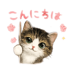 Sunny_20260428182809