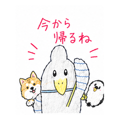 Shoebill HASSY