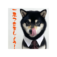 KoHaRu_20260428205550